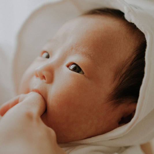 Newborn | Family Shoot (Outdoor/Home/Studio)